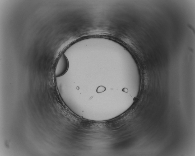 X0000100871358200807111307