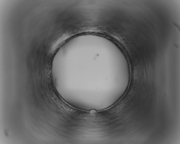 X0000100871359200807111307