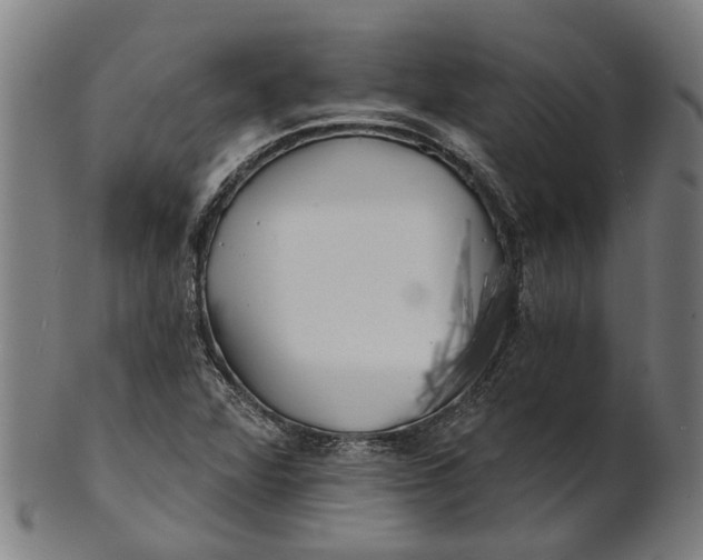 X0000100871360200807111307