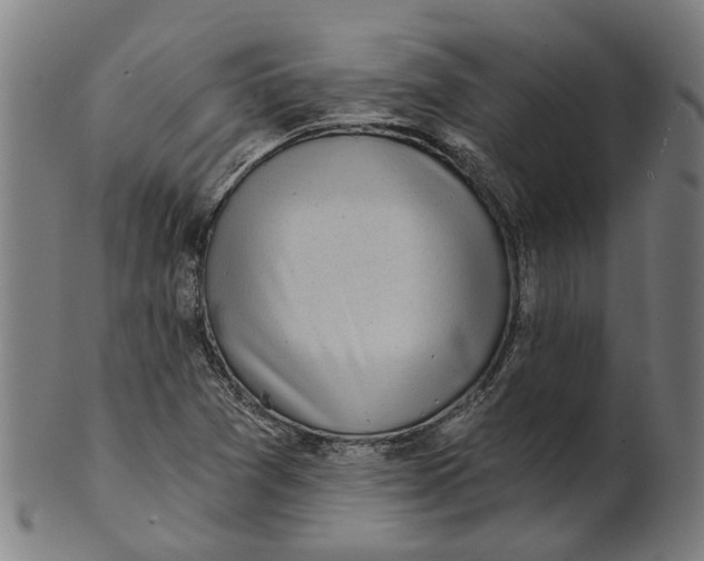 X0000100871361200807111307