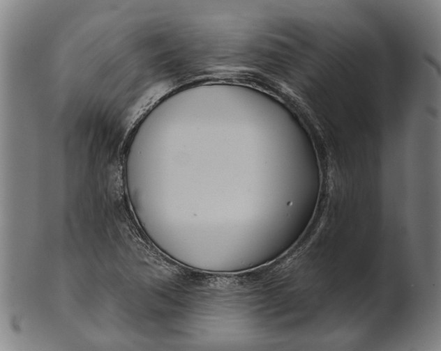 X0000100871362200807111307