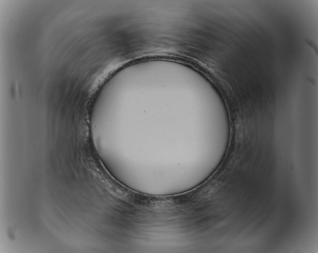 X0000100871363200807111307