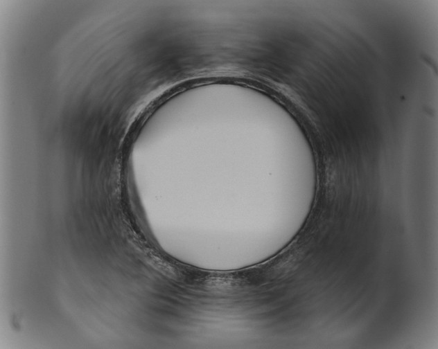 X0000100871364200807111307