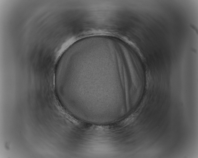 X0000100871365200807111307