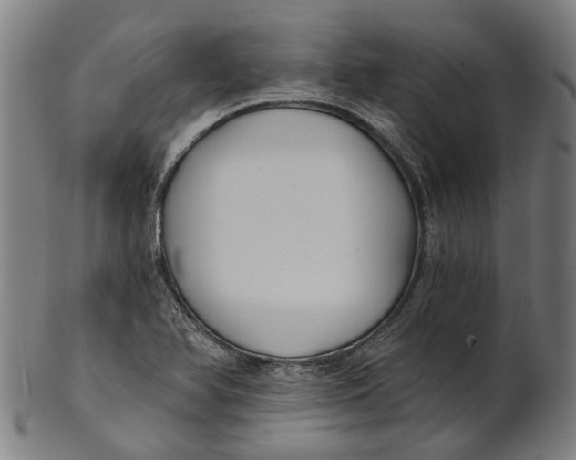 X0000100871366200807111307