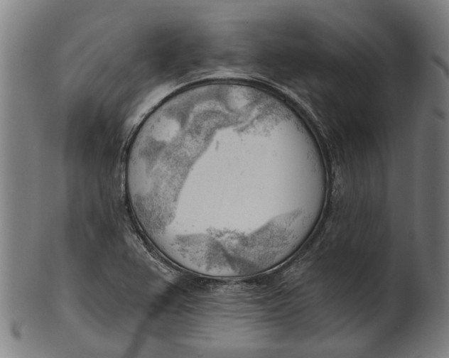 X0000100871367200807111307