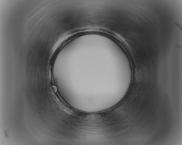 X0000100871368200807111307