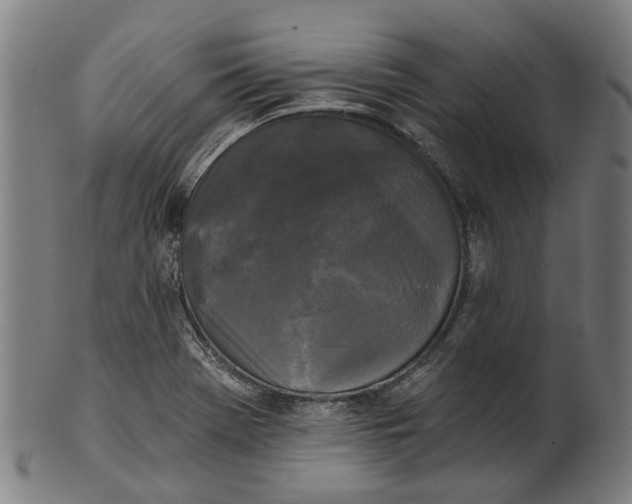 X0000100871369200807111307