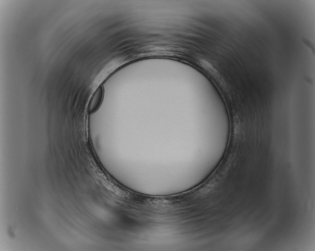 X0000100871370200807111307