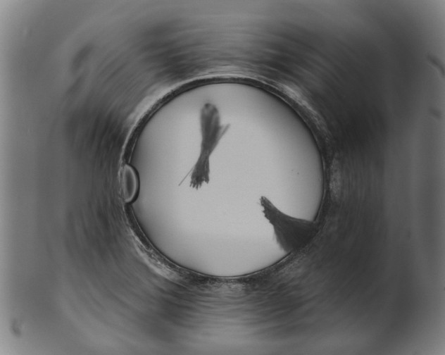 X0000100871372200807111307