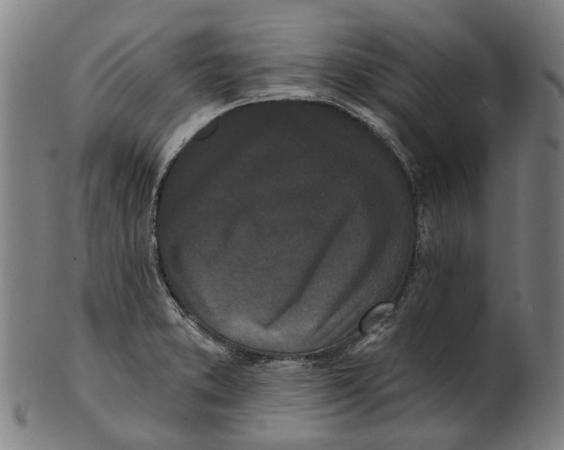 X0000100871373200807111307