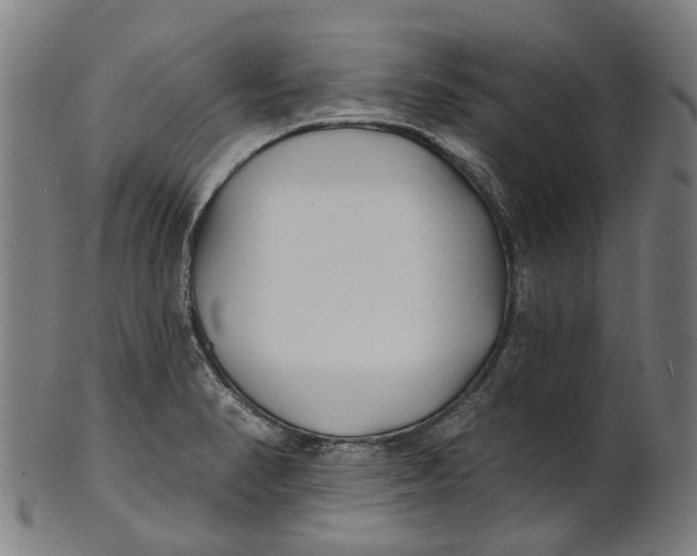 X0000100871374200807111307