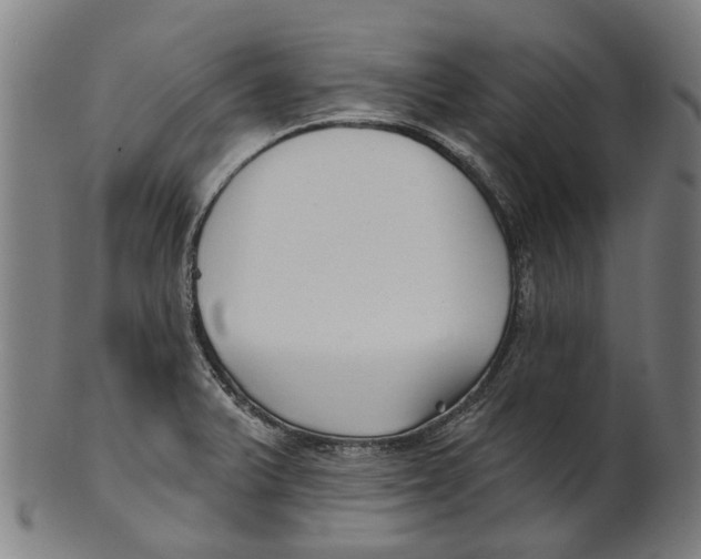 X0000100871375200807111307