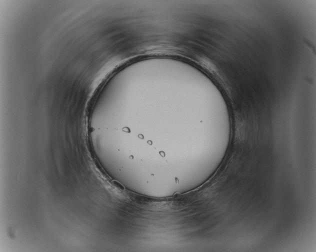 X0000100871376200807111307