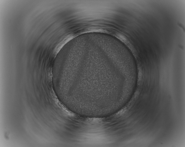 X0000100871377200807111307