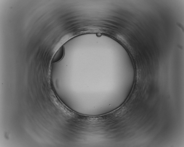 X0000100871378200807111307