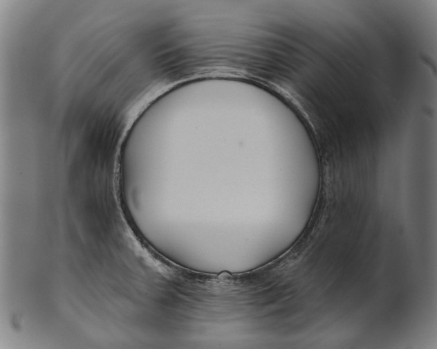 X0000100871379200807111307