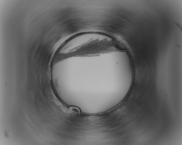 X0000100871380200807111307