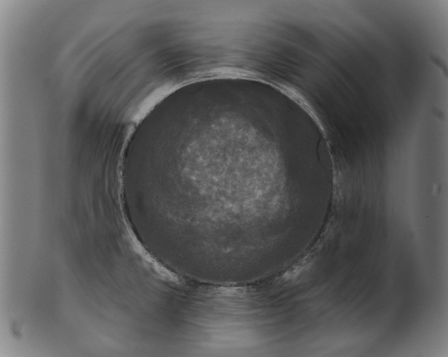 X0000100871381200807111307