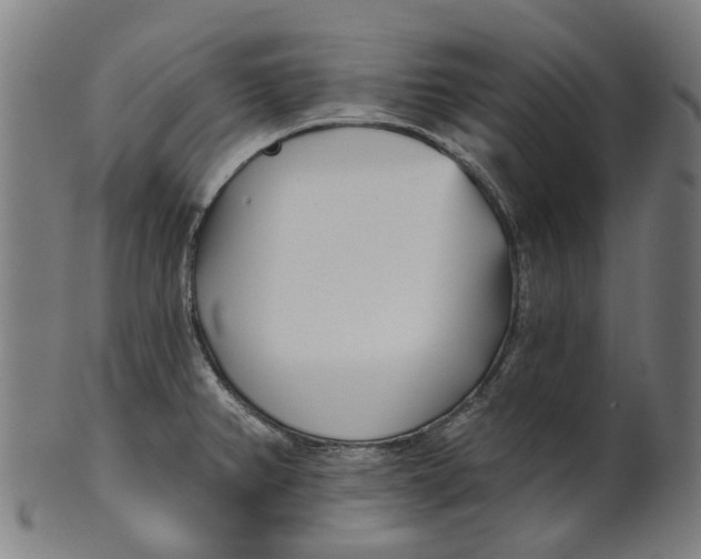 X0000100871382200807111307