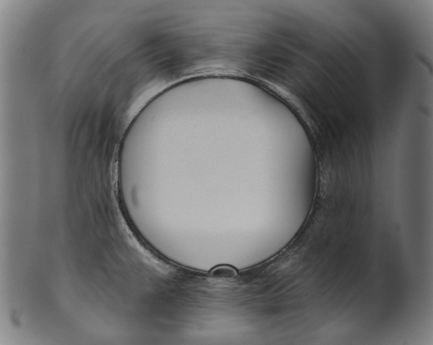 X0000100871383200807111307