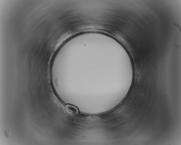 X0000100871384200807111307