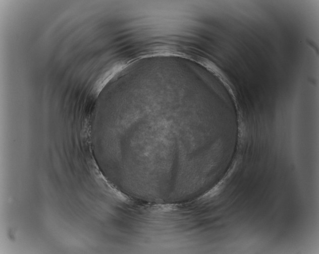 X0000100871385200807111307