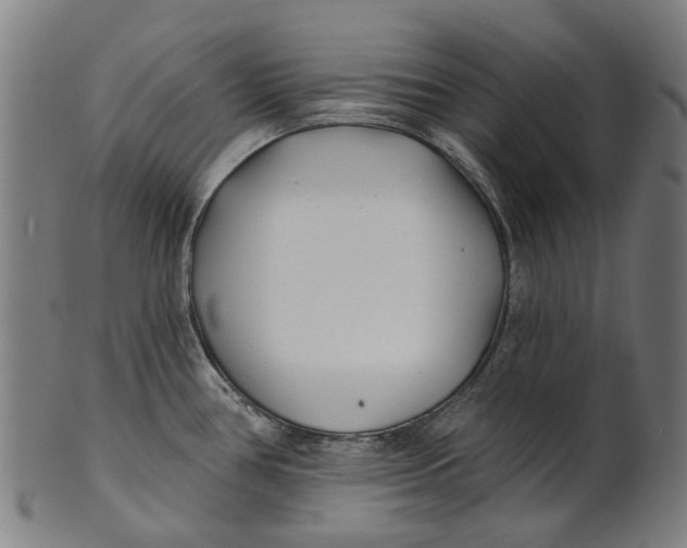 X0000100871386200807111307