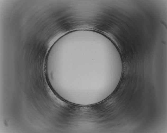 X0000100871387200807111307