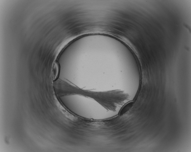 X0000100871388200807111307