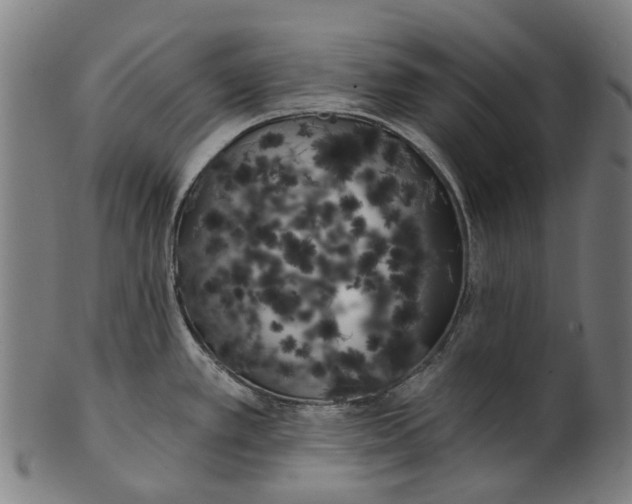 X0000100871389200807111307