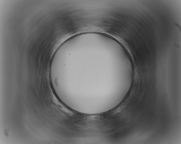 X0000100871390200807111307