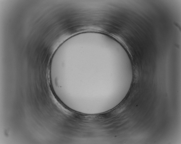 X0000100871391200807111307