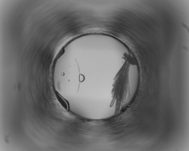 X0000100871392200807111307