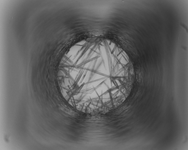 X0000100871393200807111306