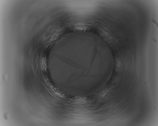 X0000100871394200807111306