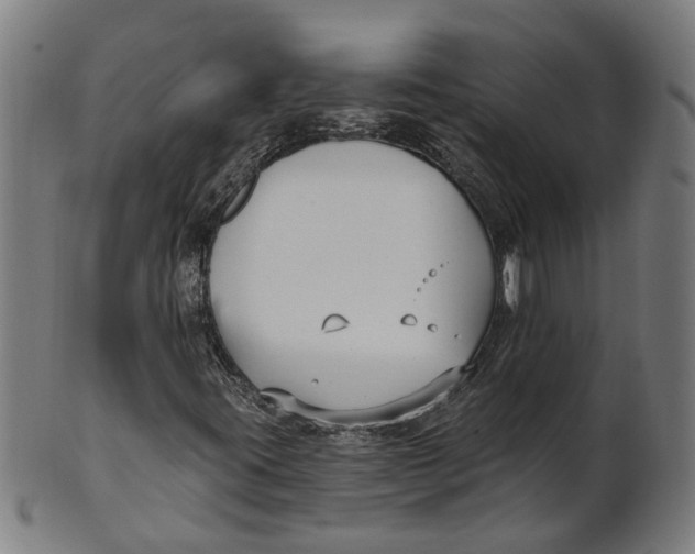 X0000100871395200807111306