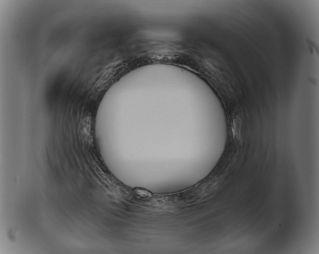 X0000100871396200807111306