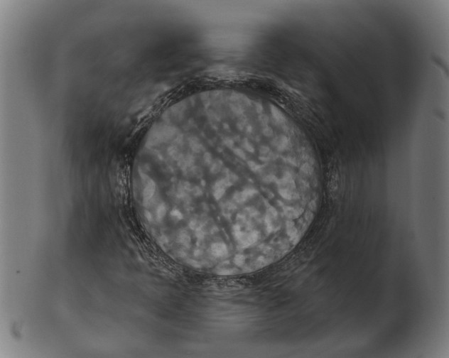 X0000100871397200807111306