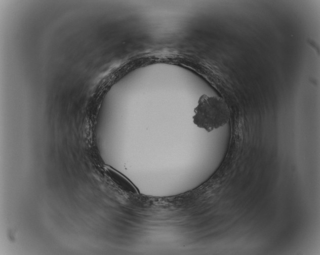 X0000100871398200807111306