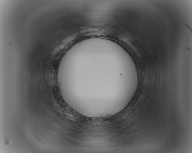 X0000100871399200807111306