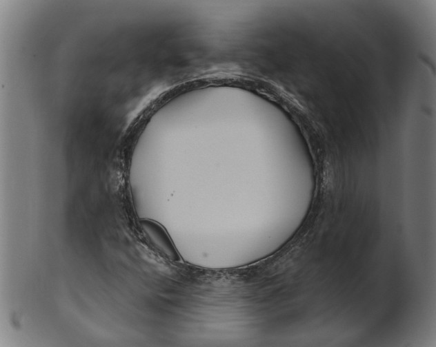 X0000100871400200807111306