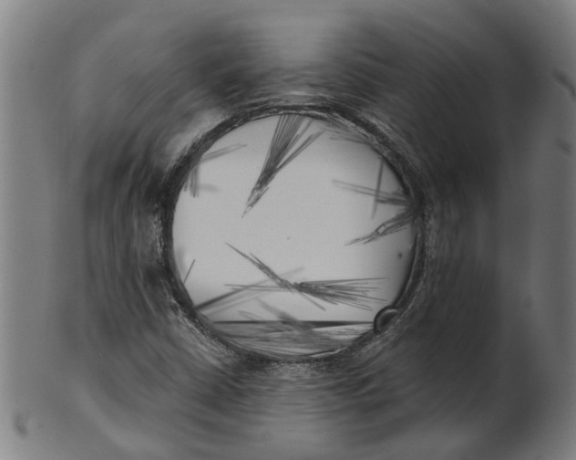 X0000100871402200807111306