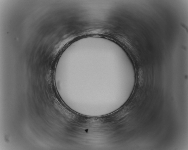 X0000100871404200807111306