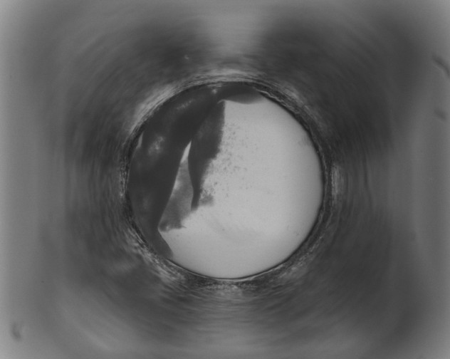 X0000100871405200807111306