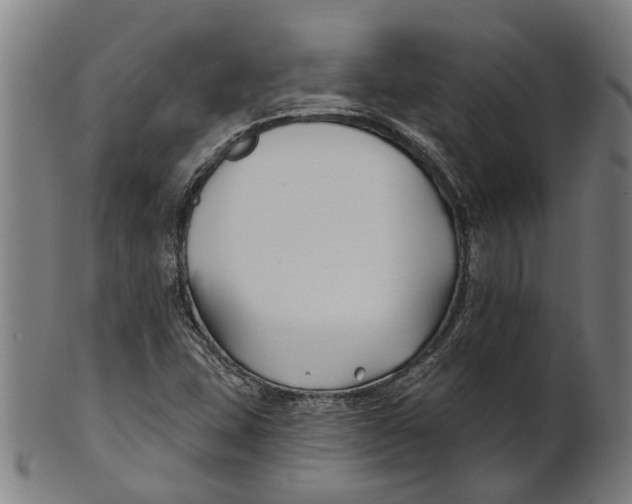 X0000100871407200807111306