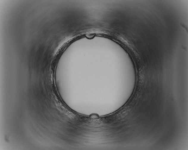 X0000100871408200807111306