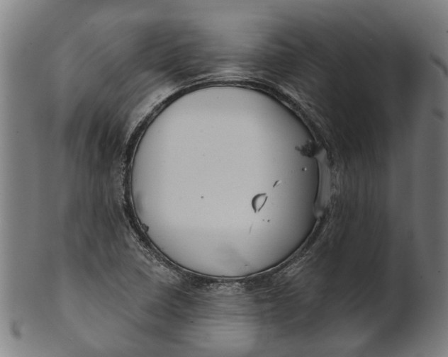 X0000100871410200807111306