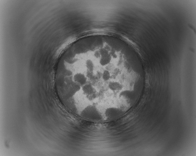 X0000100871411200807111306