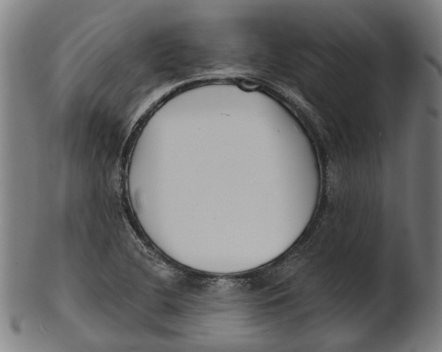 X0000100871412200807111306